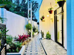 Bird House Villas